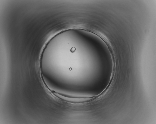X0000110721200200906121422