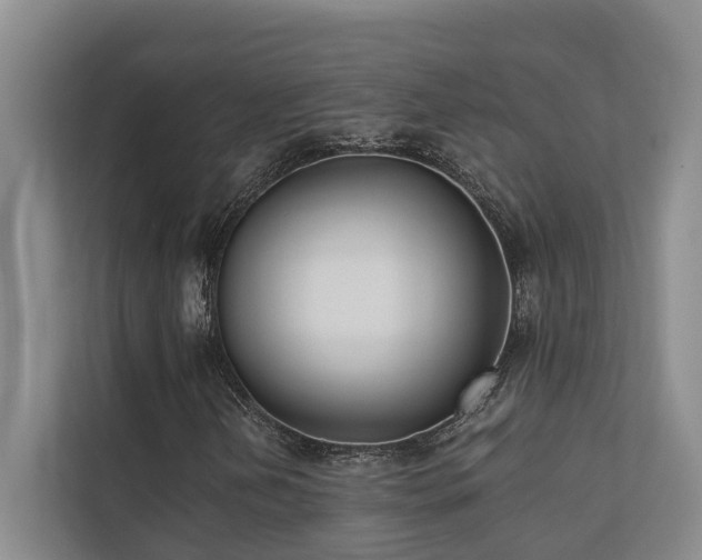 X0000110721202200906121421