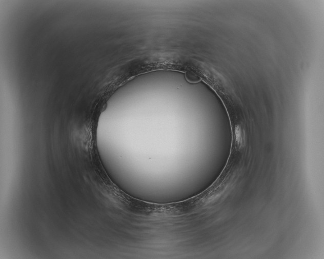 X0000110721203200906121421
