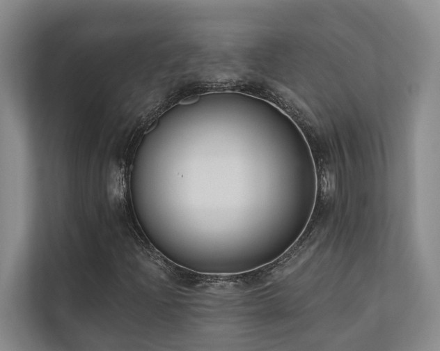 X0000110721204200906121421