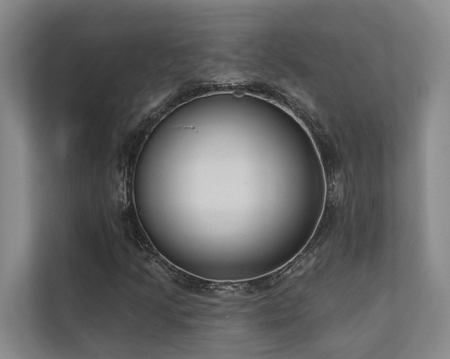 X0000110721205200906121421