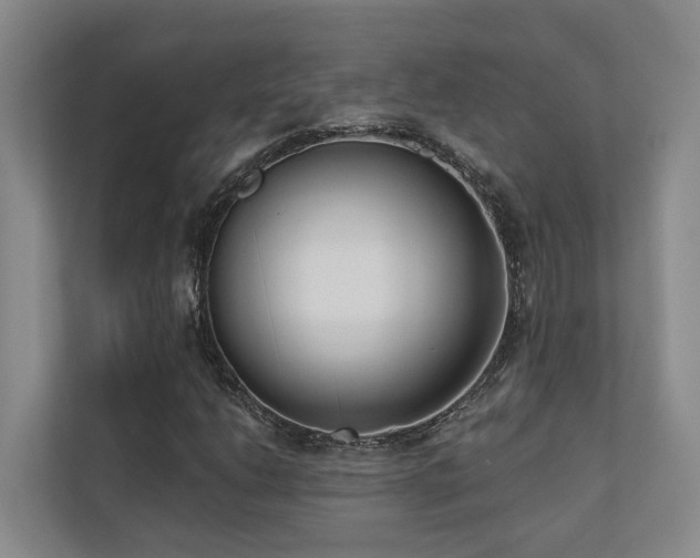 X0000110721206200906121421