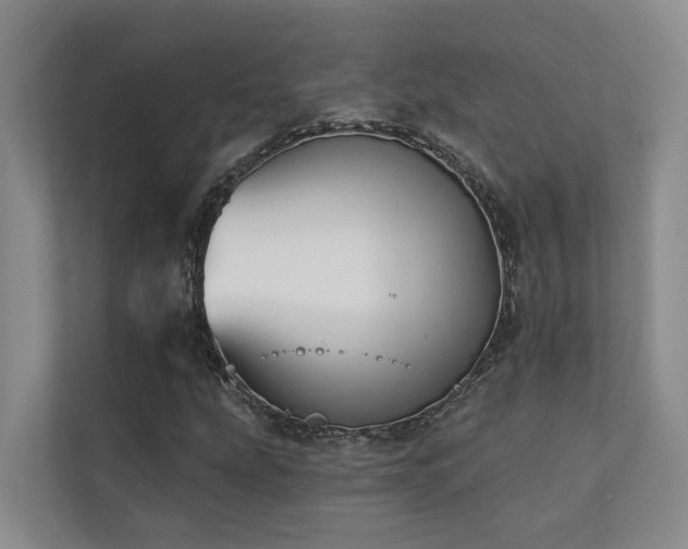 X0000110721207200906121421
