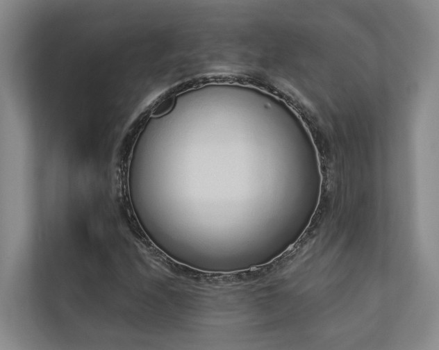 X0000110721208200906121421