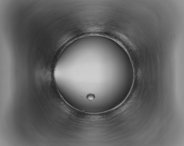 X0000110721209200906121421