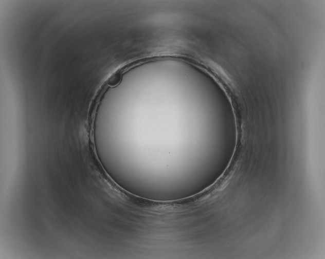 X0000110721212200906121421