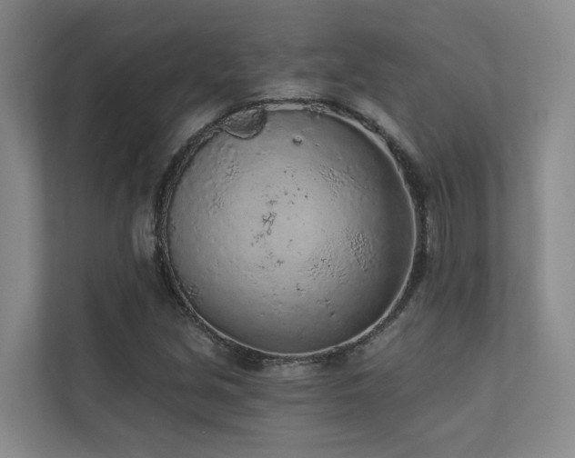 X0000110721213200906121421