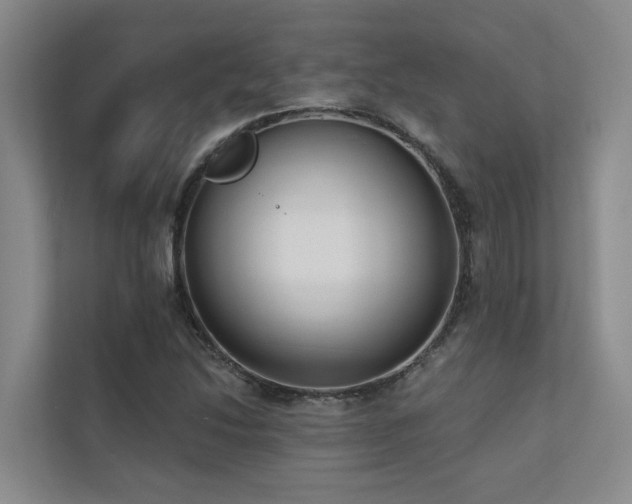 X0000110721214200906121421