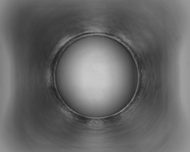 X0000110721215200906121421