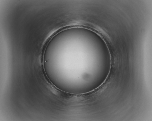 X0000110721216200906121421