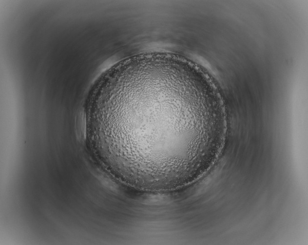 X0000110721219200906121421