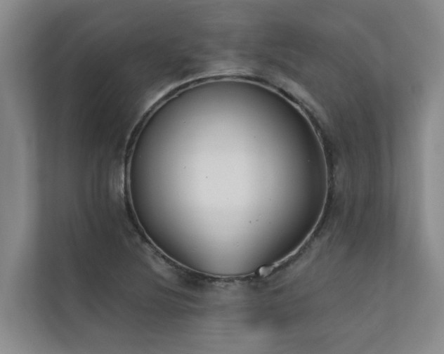 X0000110721220200906121421