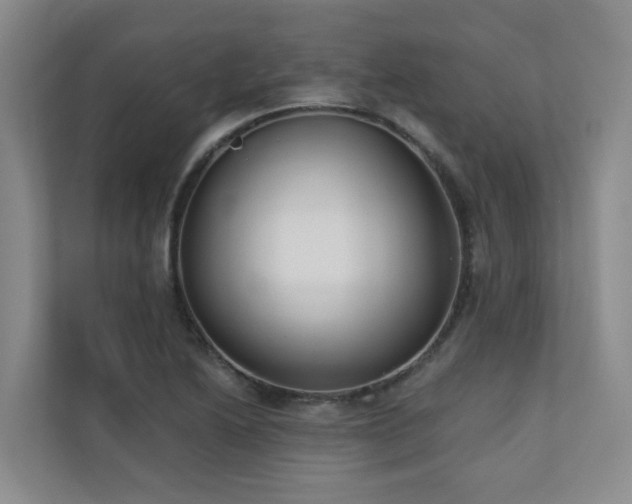 X0000110721222200906121421