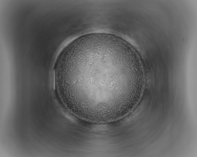 X0000110721223200906121421