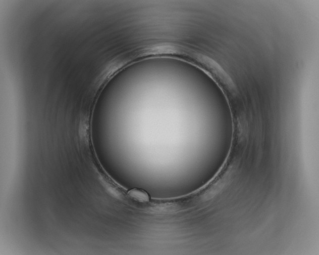 X0000110721225200906121421