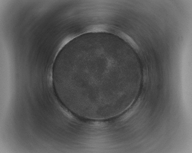 X0000110721226200906121421