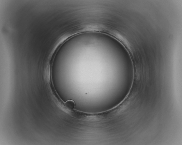 X0000110721227200906121421