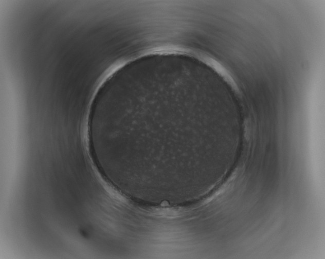 X0000110721229200906121421