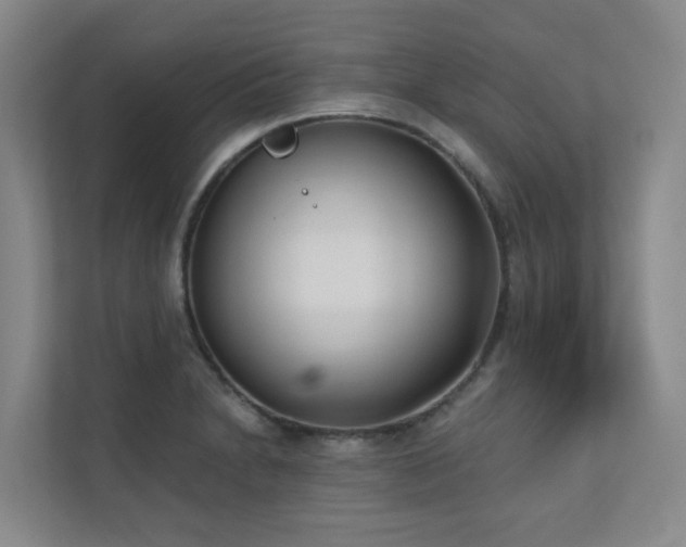 X0000110721230200906121421