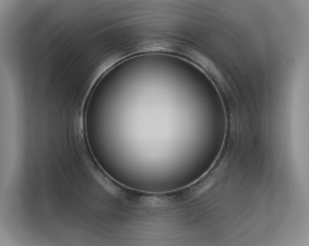 X0000110721234200906121421