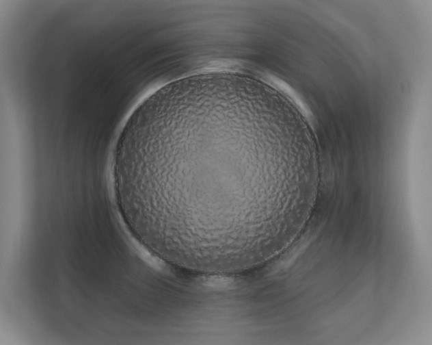 X0000110721235200906121421