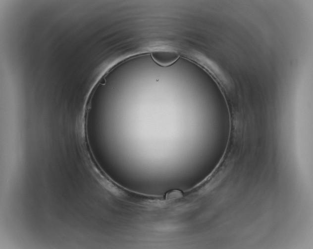 X0000110721236200906121421