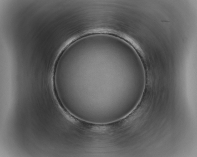 X0000110721237200906121421