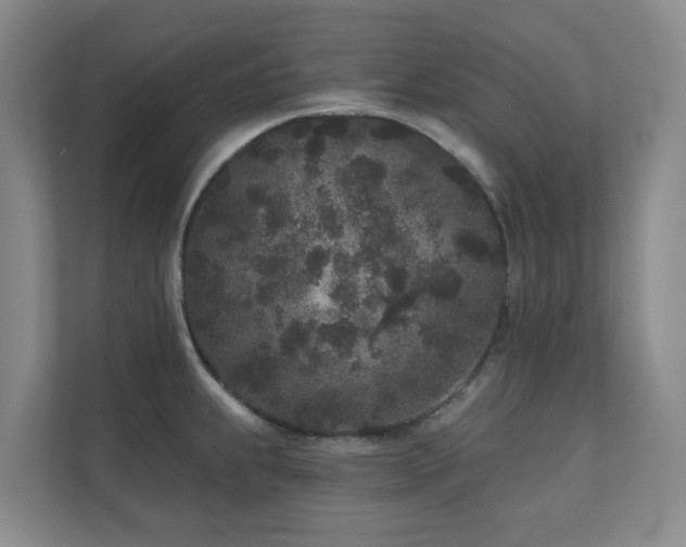 X0000110721239200906121421