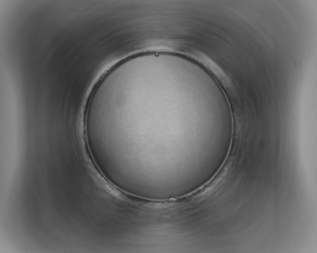 X0000110721240200906121421