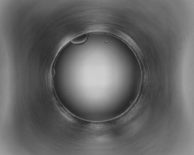 X0000110721242200906121421