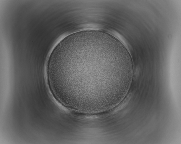 X0000110721243200906121421