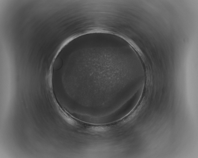 X0000110721246200906121422