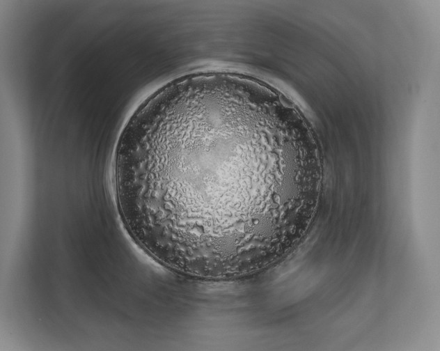 X0000110721247200906121422