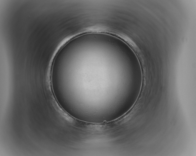 X0000110721248200906121422