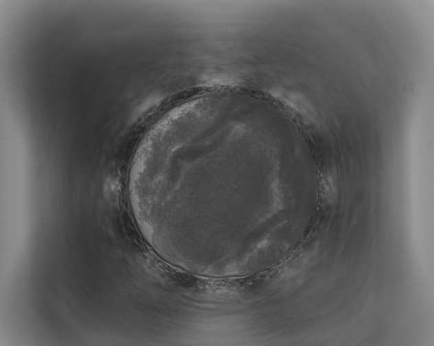 X0000110721254200906121421