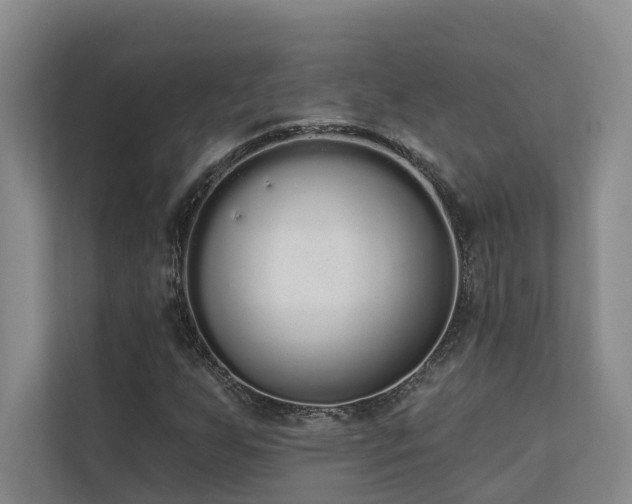 X0000110721255200906121421