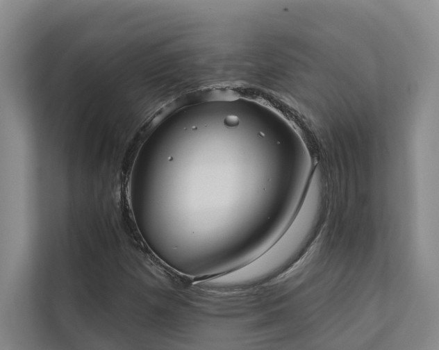 X0000110721257200906121421