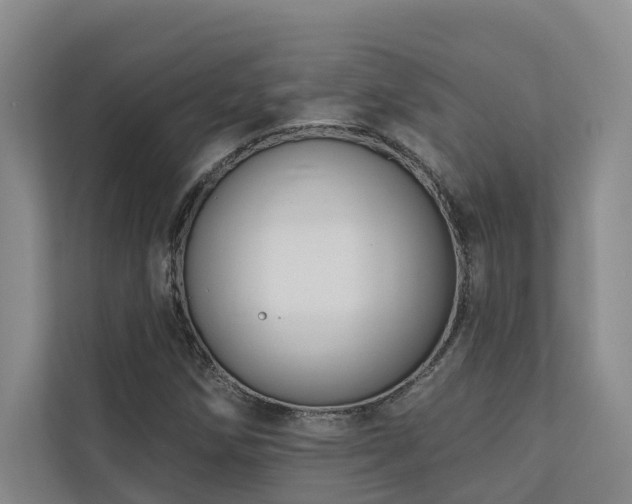 X0000110721258200906121421