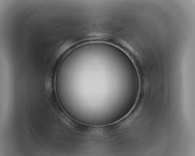 X0000110721259200906121421