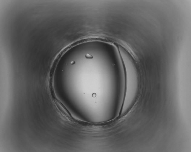 X0000110721260200906121421