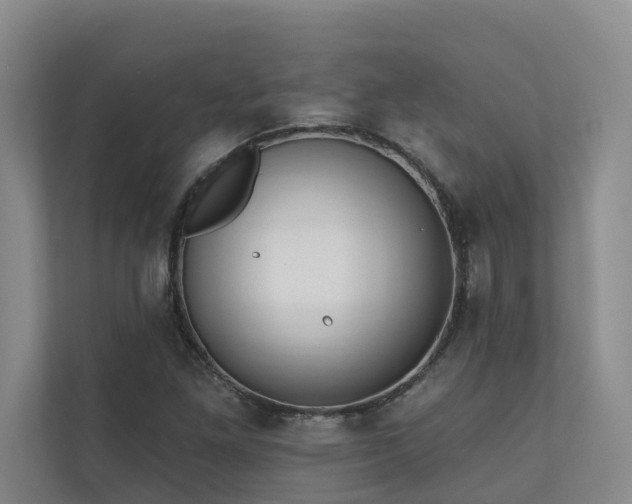 X0000110721261200906121421