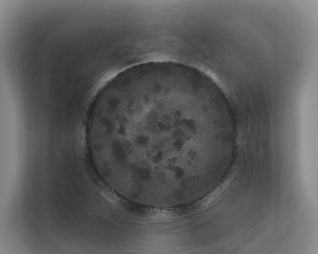 X0000110721263200906121421