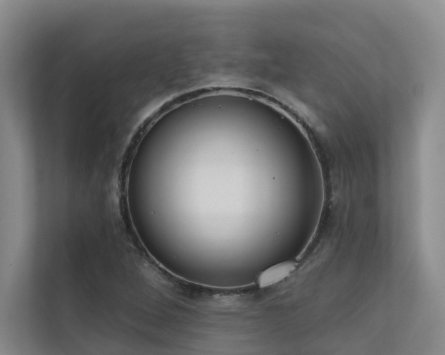 X0000110721264200906121421