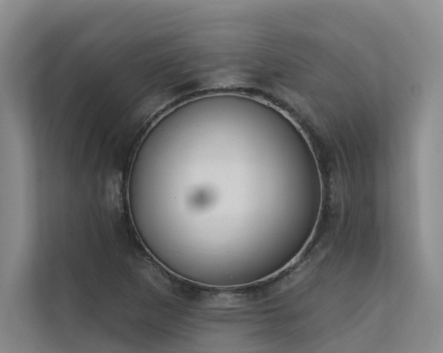 X0000110721265200906121421