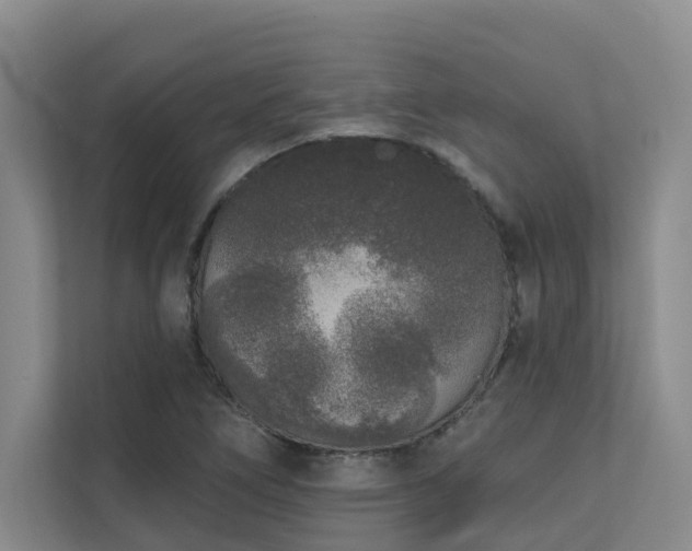 X0000110721266200906121421