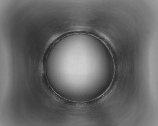 X0000110721267200906121421