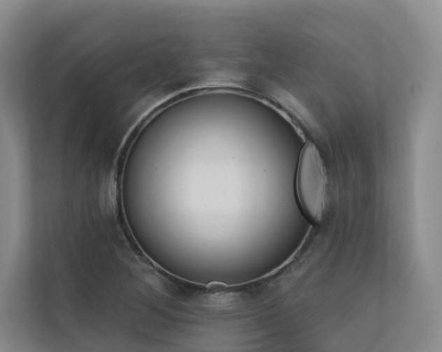 X0000110721268200906121421