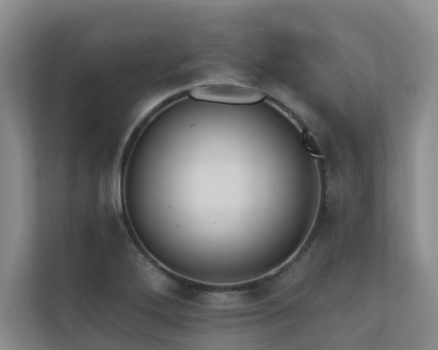 X0000110721272200906121421