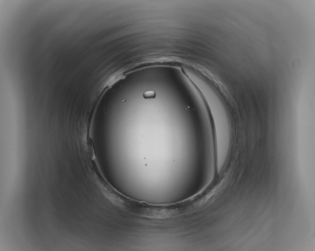 X0000110721273200906121421