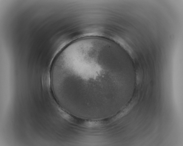 X0000110721274200906121421